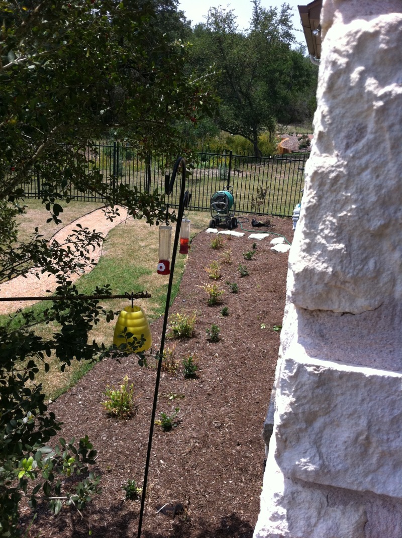 2011/05(May)/My Brain Injury Recovery/800x600_2011-05-24-Janeen's TBI-39.jpg